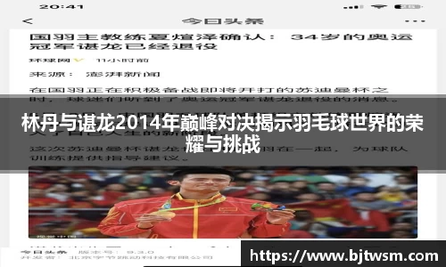 林丹与谌龙2014年巅峰对决揭示羽毛球世界的荣耀与挑战